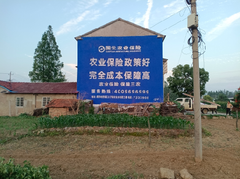  兴文墙体广告的优劣势你知道吗？